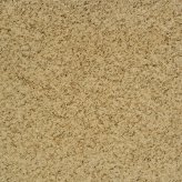 黃金麻小花大黃